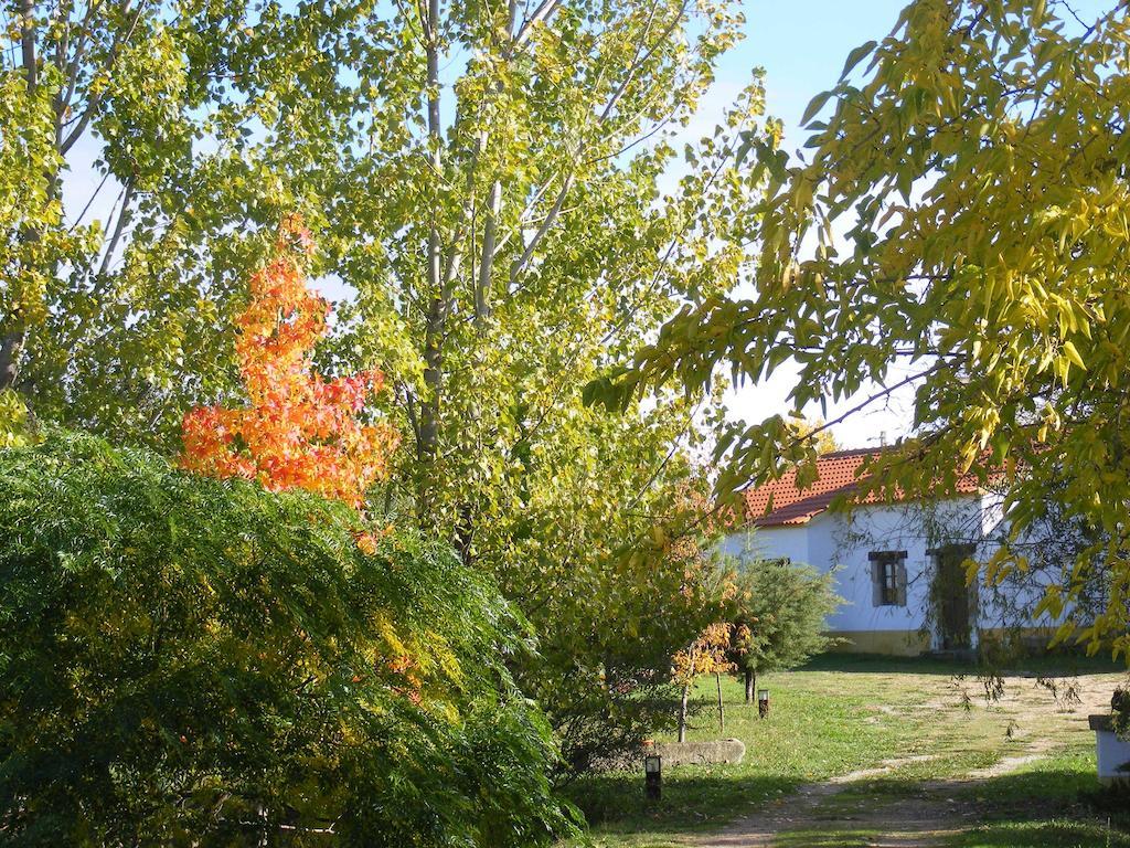 Quinta Dos Trevos - Artes E Oficios Villa Ladoeiro Exterior photo