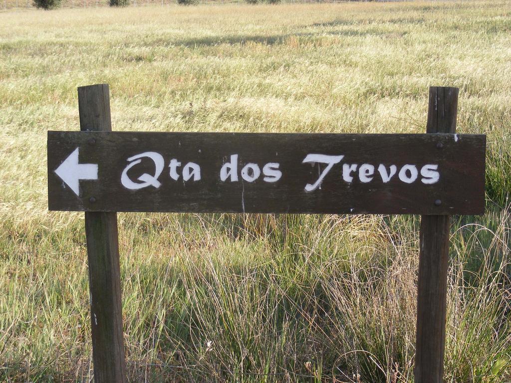 Quinta Dos Trevos - Artes E Oficios Villa Ladoeiro Exterior photo